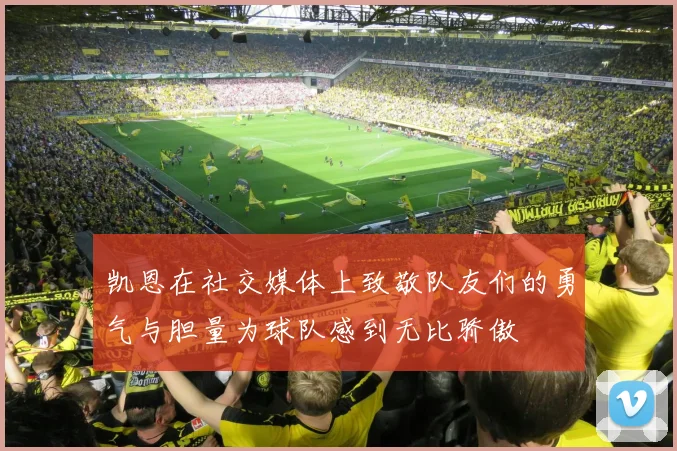 凯恩在社交媒体上致敬队友们的勇气与胆量为球队感到无比骄傲